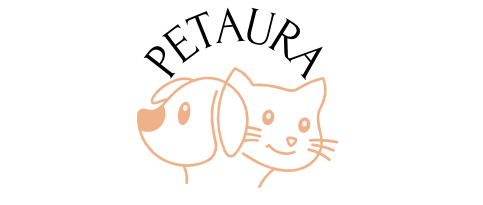 Petaura